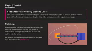 Functional genomics: gene knockouts, RNAi, transposon mutagenesis | PDF