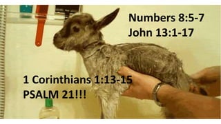 Numbers 8:5-7
John 13:1-17
1 Corinthians 1:13-15
PSALM 21!!!
 