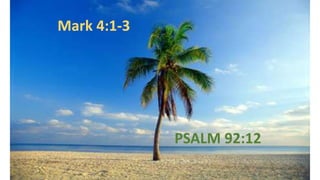 Mark 4:1-3
PSALM 92:12
 