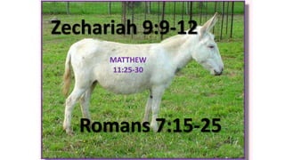 Zechariah 9:9-12
Romans 7:15-25
MATTHEW
11:25-30
 