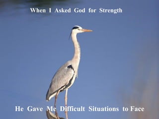 When  I  Asked  God  for  Strength  He  Gave  Me  Difficult  Situations  to Face  