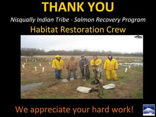 THANK YOU Nisqually Indian Tribe  -  Salmon Recovery Program  Habitat Restoration Crew We appreciate your hard work!   
