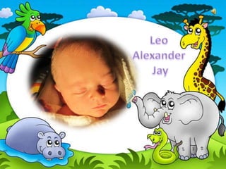 Leo  Alexander  Jay 