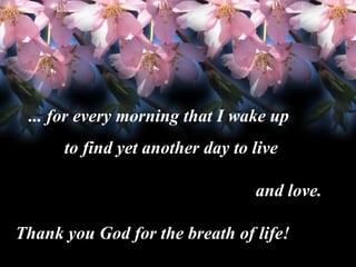 Thank You Lord Thank You Lord