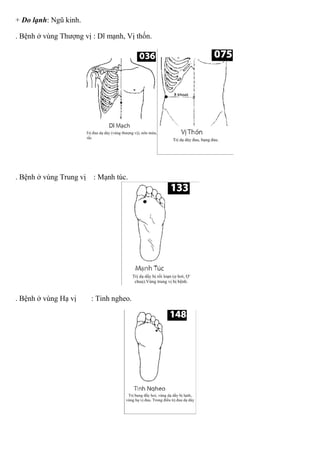 + Do lạnh: Ngũ kinh.
. Bệnh ở vùng Thượng vị : Dĩ mạnh, Vị thốn.
. Bệnh ở vùng Trung vị : Mạnh túc.
. Bệnh ở vùng Hạ vị : Tinh ngheo.
 