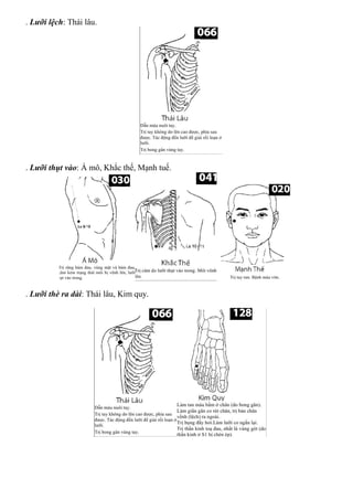 . Lưỡi lệch: Thái lâu.
. Lưỡi thụt vào: Á mô, Khắc thế, Mạnh tuế.
. Lưỡi thè ra dài: Thái lâu, Kim quy.
 