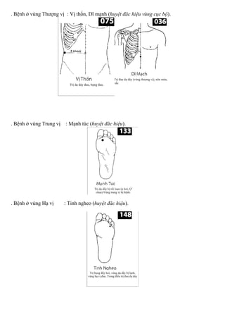 . Bệnh ở vùng Thượng vị : Vị thốn, Dĩ mạnh (huyệt đăc hiệu vùng cục bộ).
. Bệnh ở vùng Trung vị : Mạnh túc (huyệt đăc hiệu).
. Bệnh ở vùng Hạ vị : Tinh ngheo (huyệt đăc hiệu).
 