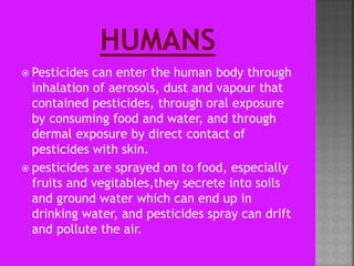  Pesticides can enter the human body through
inhalation of aerosols, dust and vapour that
contained pesticides, through oral exposure
by consuming food and water, and through
dermal exposure by direct contact of
pesticides with skin.
 pesticides are sprayed on to food, especially
fruits and vegitables,they secrete into soils
and ground water which can end up in
drinking water, and pesticides spray can drift
and pollute the air.
 
