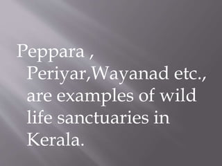 Peppara ,
Periyar,Wayanad etc.,
are examples of wild
life sanctuaries in
Kerala.
 