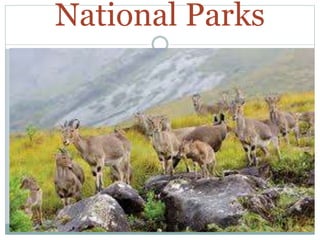 National Parks
 