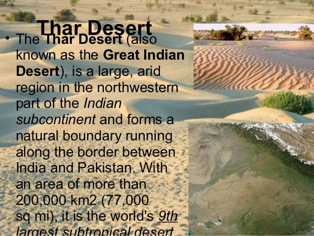 Thar Desert thar-desert