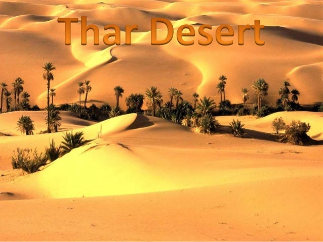 Thar Desert