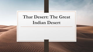 Thar Desert: The Great
Indian Desert
 