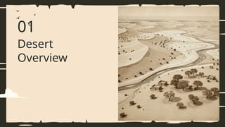 01
Desert
Overview
 