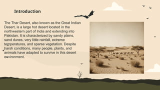 The Thar Desert, also known as the Great Indian
Desert, is a large hot desert located in the
northwestern part of India and extending into
Pakistan. It is characterized by sandy plains,
sand dunes, very little rainfall, extreme
temperatures, and sparse vegetation. Despite
harsh conditions, many people, plants, and
animals have adapted to survive in this desert
environment.
Introduction
 