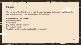 Climate
The climate of the Thar Desert is hot, dry, and extreme. It receives very little rainfall
and experiences very high temperatures during the day.
Climate of the Thar Desert
Very hot summers
Cold winters
Dry climate with low humidity
Strong dusty winds
Very little rainfall (usually less than 25 cm annually)
 