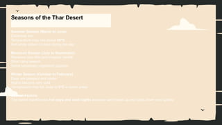 Seasons of the Thar Desert
Summer Season (March to June)
Extremely hot
Temperature may rise above 50°C
Hot winds called loo blow during the day
Monsoon Season (July to September)
Receives very little and irregular rainfall
Short rainy season
Some temporary vegetation appears
Winter Season (October to February)
Days are pleasant and cooler
Nights become very cold
Temperature may fall close to 0°C in some areas
Special Feature
The desert experiences hot days and cold nights because sand heats up and cools down very quickly.
 