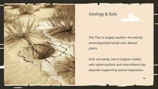 Geology & Soils
The Thar is largely aeolian—formed by
wind-deposited sands over alluvial
plains.
Soils are sandy, low in organic matter,
with saline pockets and intermittent clay
deposits supporting sparse vegetation.
 