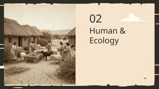 02
Human &
Ecology
 