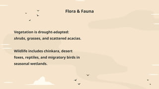 Flora & Fauna
Vegetation is drought-adapted:
shrubs, grasses, and scattered acacias.
Wildlife includes chinkara, desert
foxes, reptiles, and migratory birds in
seasonal wetlands.
 