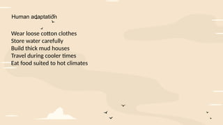 Human adaptation
Wear loose cotton clothes
Store water carefully
Build thick mud houses
Travel during cooler times
Eat food suited to hot climates
 
