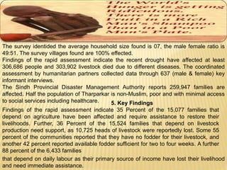 The survey identided the average household size found is 07, the male female ratio is 
49:51. The survey villages found are 100% effected. 
Findings of the rapid assessment indicate the recent drought have affected at least 
306,686 people and 303,902 livestock died due to different diseases. The coordinated 
assessment by humanitarian partners collected data through 637 (male & female) key 
informant interviews. 
The Sindh Provincial Disaster Management Authority reports 259,947 families are 
affected. Half the population of Tharparkar is non-Muslim, poor and with minimal access 
to social services including healthcare. 5. Key Findings 
Findings of the rapid assessment indicate 35 Percent of the 15,077 families that 
depend on agriculture have been affected and require assistance to restore their 
livelihoods. Further, 36 Percent of the 15,524 families that depend on livestock 
production need support, as 10,725 heads of livestock were reportedly lost. Some 55 
percent of the communities reported that they have no fodder for their livestock, and 
another 42 percent reported available fodder sufficient for two to four weeks. A further 
88 percent of the 6,433 families 
that depend on daily labour as their primary source of income have lost their livelihood 
and need immediate assistance. 
 