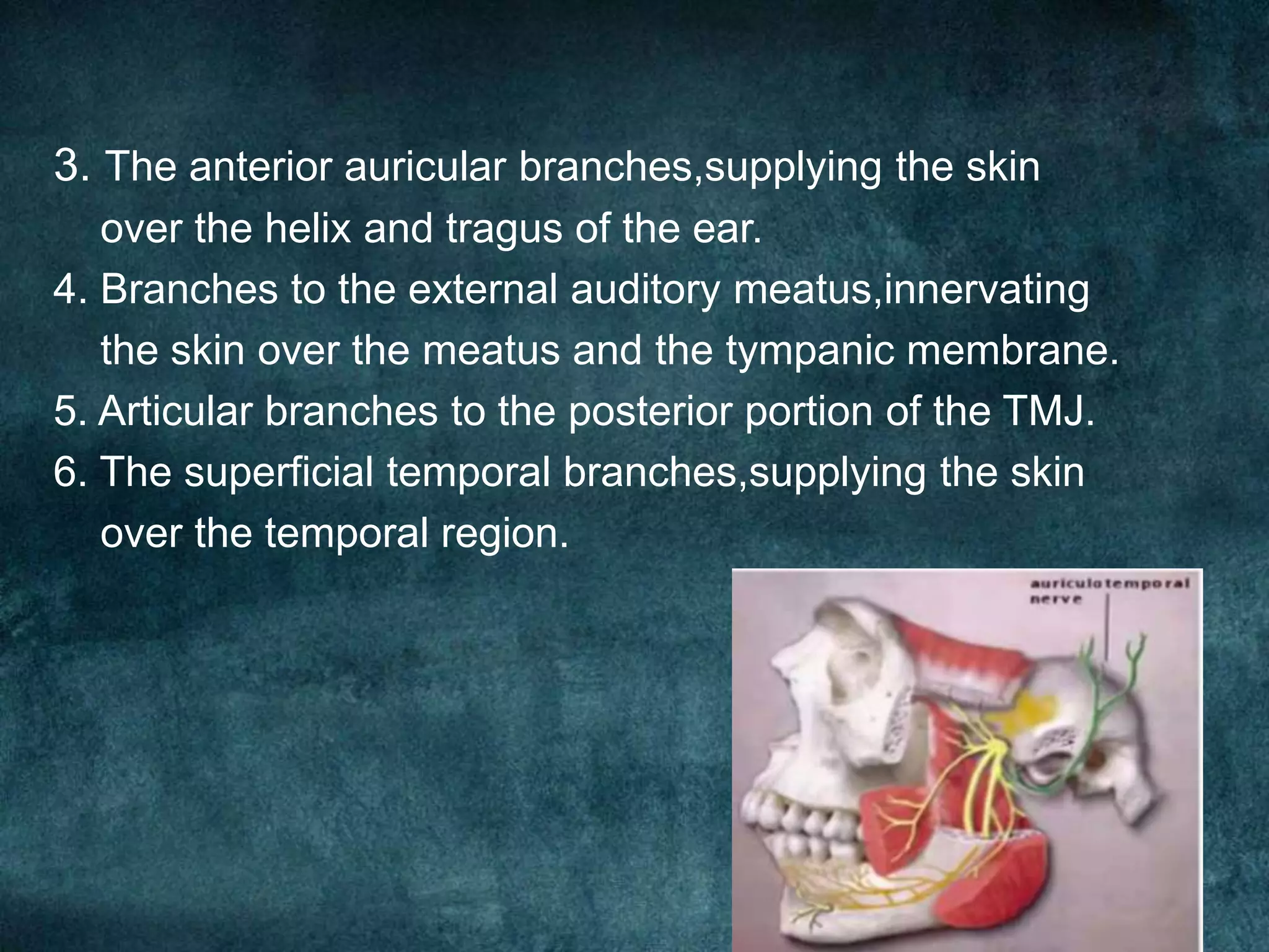 Mandibular nerve | PPTX