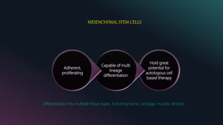 MESENCHYMAL STEM CELLS
Hold great
potential for
autologous cell
based therapy
Capable of multi
lineage
differentiation
Adherent,
proliferating
Differentiates into multiple tissue types, including bone, cartilage, muscle, tendon.
 