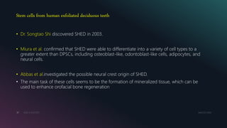 Stem cells from human exfoliated deciduous teeth
MM.DD.20XXADD A FOOTER37
• Dr. Songtao Shi discovered SHED in 2003.
• Miura et al. confirmed that SHED were able to differentiate into a variety of cell types to a
greater extent than DPSCs, including osteoblast-like, odontoblast-like cells, adipocytes, and
neural cells.
• Abbas et al.investigated the possible neural crest origin of SHED.
• The main task of these cells seems to be the formation of mineralized tissue, which can be
used to enhance orofacial bone regeneration
 
