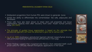 PERIODONTAL LIGAMENT STEM CELLS
• Multipotent progenitors from human PDL were shown to generate bone.
• Exhibit the ability to differentiate into cementoblast- like cells, adipocytes and
fibroblasts.
• These cells have also been shown to retain stem cell properties and tissue
regeneration capacity even after recovery from solid- frozen human primary
tissue (Shi 2005).
• The principle of guided tissue regeneration is based on this principle that
periodontal ligament cell have the potential to give rise to various cells.
• Liu et al, 2008 Autologous periodontal ligament derived mesenchymal stromal
cells promoted healing of experimental periodontitis in mini-pigs.
• These findings suggest that cryopreserved PDLSCs from extracted teeth could
prove useful for clinically relevant therapeutic applications in the future.
 