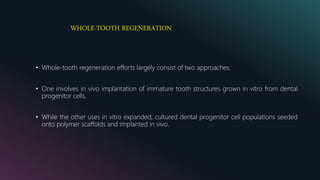 WHOLE-TOOTH REGENERATION
• Whole-tooth regeneration efforts largely consist of two approaches:
• One involves in vivo implantation of immature tooth structures grown in vitro from dental
progenitor cells,
• While the other uses in vitro expanded, cultured dental progenitor cell populations seeded
onto polymer scaffolds and implanted in vivo.
 