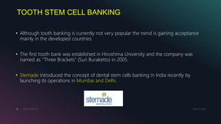 TOOTH STEM CELL BANKING
MM.DD.20XXADD A FOOTER42
• Although tooth banking is currently not very popular the trend is gaining acceptance
mainly in the developed countries.
• The first tooth bank was established in Hiroshima University and the company was
named as “Three Brackets” (Suri Buraketto) in 2005.
• Stemade introduced the concept of dental stem cells banking in India recently by
launching its operations in Mumbai and Delhi.
 