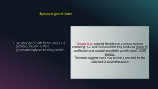 Hepatocyte growth factor
• Hepatocyte growth factor (HGF) is a
secreted, heparin sulfate
glycosaminoglycan-binding protein.
Yamada et al. cultured fibroblasts in a culture medium
containing HGF and concluded that they produced good cell
proliferation and vascular endothelial growth factor (VEGF)
release.
The results suggest that it may provide a new tool for the
treatment of gingival recession
 