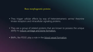 Bone morphogenetic proteins
• They trigger cellular effects by way of heterotetrameric serine/ theonine
kinase receptors and intracellular signaling proteins.
• They are a group of related proteins that are known to possess the unique
ability to induce cartilage and bone formation.
• BMPs, like PDGF, play a role in the blood vessel formation.
 