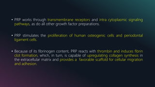 • PRP works through transmembrane receptors and intra cytoplasmic signaling
pathways, as do all other growth factor preparations.
• PRP stimulates the proliferation of human osteogenic cells and periodontal
ligament cells.
• Because of its fibrinogen content, PRP reacts with thrombin and induces fibrin
clot formation, which, in turn, is capable of upregulating collagen synthesis in
the extracellular matrix and provides a favorable scaffold for cellular migration
and adhesion.
 