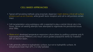 CELL BASED APPROACHES
• Typical cell harvesting methods using enzymatic dispersion might destroy critical cell surface
proteins such as ion channels, while growth factor receptors and cell to cell junctions remain
intact.
• Cell transplantation using autologous cells is expected to play a central clinical role in the
future. Dental cell seeding attempts have attempted to regenerate the periodontal tissues
since 1990s.
• Okano et al. developed temperature responsive culture dishes by grafting a polymer poly N
isopropylacylamide (PIPAAm) onto tissue culture graded polystyrene dishes by irradiation
with an electron beam.
• Cells generally adhere to hydrophobic surfaces, but not to hydrophillic surfaces. At
temperatures lower than 32°C, it is fully hydrated.
 