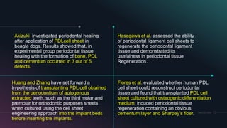 MM.DD.20XXADD A FOOTER77
Akizuki investigated periodontal healing
after application of PDLcell sheet in
beagle dogs. Results showed that, in
experimental group periodontal tissue
healing with the formation of bone, PDL
and cementum occurred in 3 out of 5
defects.
Flores et al. evaluated whether human PDL
cell sheet could reconstruct periodontal
tissue and found that transplanted PDL cell
sheet cultured with osteogenic differentiation
medium induced periodontal tissue
regeneration containing an obvious
cementum layer and Sharpey’s fiber.
Hasegawa et al. assessed the ability
of periodontal ligament cell sheets to
regenerate the periodontal ligament
tissue and demonstrated its
usefulness in periodontal tissue
Regeneration.
Huang and Zhang have set forward a
hypothesis of transplanting PDL cell obtained
from the periodontium of autogenous
extracted teeth, such as the third molar and
premolar for orthodontic purposes sheets
when cultured using the cell sheet
engineering approach into the implant beds
before inserting the implants.
 