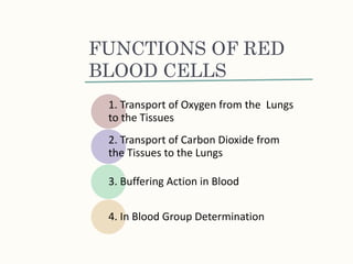 Red Cell Function Blood | PPTX