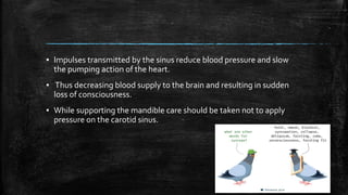 ▪ Impulses transmitted by the sinus reduce blood pressure and slow
the pumping action of the heart.
▪ Thus decreasing blood supply to the brain and resulting in sudden
loss of consciousness.
▪ While supporting the mandible care should be taken not to apply
pressure on the carotid sinus.
 