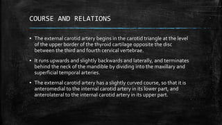 COURSE AND RELATIONS
▪ The external carotid artery begins in the carotid triangle at the level
of the upper border of the thyroid cartilage opposite the disc
between the third and fourth cervical vertebrae.
▪ It runs upwards and slightly backwards and laterally, and terminates
behind the neck of the mandible by dividing into the maxillary and
superficial temporal arteries.
▪ The external carotid artery has a slightly curved course, so that it is
anteromedial to the internal carotid artery in its lower part, and
anterolateral to the internal carotid artery in its upper part.
 