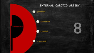 3 anterior
2 posterior
1 medial
2 terminal
8 BRANCHES
EXTERNAL CAROTID ARTERY
 