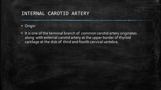 INTERNAL CAROTID ARTERY
▪ Origin
▪ It is one of the terminal branch of common carotid artery originates
along with external carotid artery at the upper border of thyroid
cartilage at the disk of third and fourth cervical vertebra.
 
