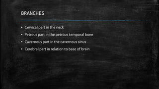 BRANCHES
▪ Cervical part in the neck
▪ Petrous part in the petrous temporal bone
▪ Cavernous part in the cavernous sinus
▪ Cerebral part in relation to base of brain
 