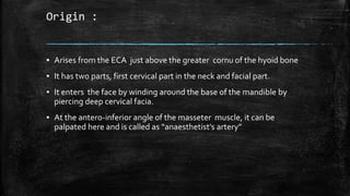 Origin :
▪ Arises from the ECA just above the greater cornu of the hyoid bone
▪ It has two parts, first cervical part in the neck and facial part.
▪ It enters the face by winding around the base of the mandible by
piercing deep cervical facia.
▪ At the antero-inferior angle of the masseter muscle, it can be
palpated here and is called as “anaesthetist’s artery”
 