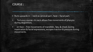 COURSE:
▪ Runs upwards in -- neck as cervical part ; face -- facial part.
▪ Tortuous course—In neck allows free movements of pharynx
during deglutition,
▪ on face -- free movements of mandible , lips, & cheek during
mastication & facial expressions, escapes traction & pressure during
movements.
 
