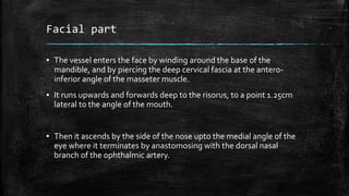 Facial part
▪ The vessel enters the face by winding around the base of the
mandible, and by piercing the deep cervical fascia at the antero-
inferior angle of the masseter muscle.
▪ It runs upwards and forwards deep to the risorus, to a point 1.25cm
lateral to the angle of the mouth.
▪ Then it ascends by the side of the nose upto the medial angle of the
eye where it terminates by anastomosing with the dorsal nasal
branch of the ophthalmic artery.
 