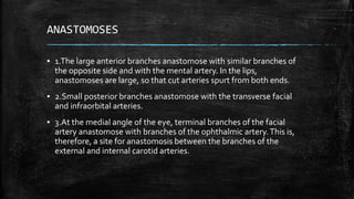 ANASTOMOSES
▪ 1.The large anterior branches anastomose with similar branches of
the opposite side and with the mental artery. In the lips,
anastomoses are large, so that cut arteries spurt from both ends.
▪ 2.Small posterior branches anastomose with the transverse facial
and infraorbital arteries.
▪ 3.At the medial angle of the eye, terminal branches of the facial
artery anastomose with branches of the ophthalmic artery.This is,
therefore, a site for anastomosis between the branches of the
external and internal carotid arteries.
 