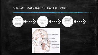 SURFACE MARKING OF FACIAL PART
1)A point on the
base of the
mandible at the
anterio-inferior
border of the
masseter muscle
2)A second point
1.2cm lateral to
the angle of the
mouth.
3)A point at the
medial angle of
the eye.More
tortuous b/n first
two points.
 