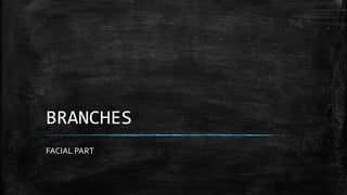 BRANCHES
FACIAL PART
 