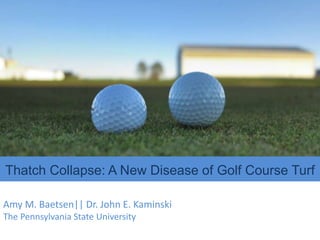 Amy M. Baetsen|| Dr. John E. Kaminski
The Pennsylvania State University
Thatch Collapse: A New Disease of Golf Course Turf
 